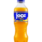 Jooz Mango Fruit Juice (Doz.)